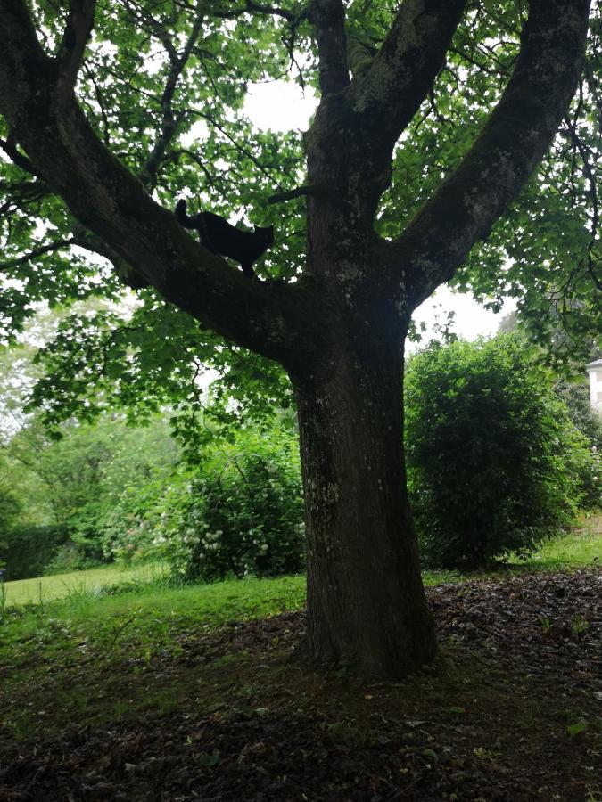 Chez Pauline & Sebastien Le Bien-etre Proche De La Foret Homestay *